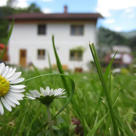 Heidi's Schlummerkiste Am Fuss Der Teichalm
