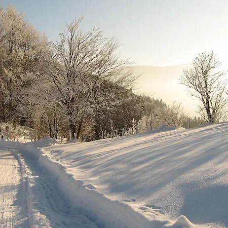 Апартаменты Heidi's Schlummerkiste Am Fuss Der Teichalm Breitenau am Hochlantsch