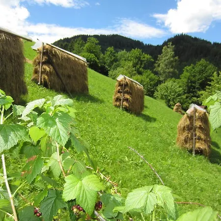 شقة Heidi's Schlummerkiste Am Fuss Der Teichalm