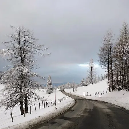 Heidi's Schlummerkiste Am Fuss Der Teichalm