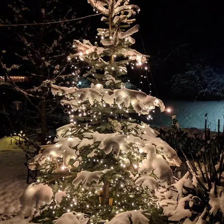 Heidi's Schlummerkiste Am Fuss Der Teichalm